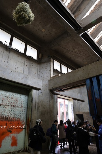 とべ動物園バックヤード（アフリカゾウ舎）