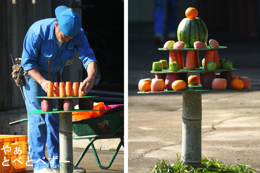 とべ動物園アフリカゾウのレジェンド飼育員の椎名修さん