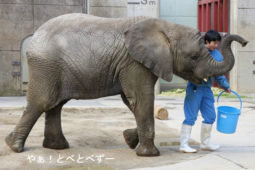 砥愛ちゃんのトレーニングに遭遇