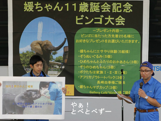 とべ動物園アフリカゾウ：媛ちゃんの11歳のお誕生会