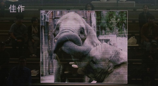 とべ動物園写真コンクール表彰式