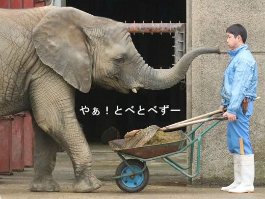 砥愛ちゃんの「ふ～ふ～して」
