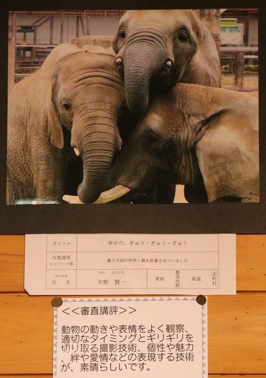 第12回とべ動物園写真コンクール:入賞(佳作)