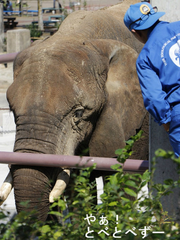 リカ母さんの『構ってね』
