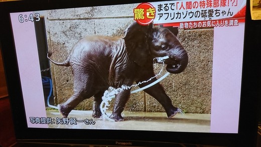 ケの写真を使ってもらいました。