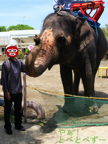 市原ぞうの国アトラクション:ぞうさんライド