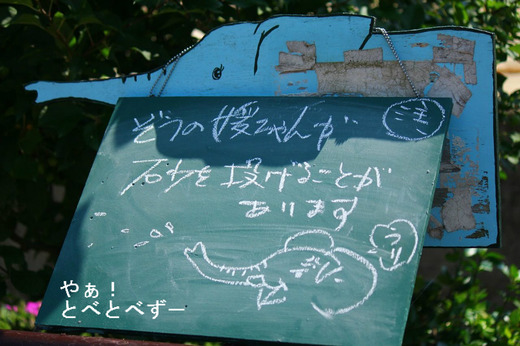 とべ動物園アフリカゾウのブログ:やぁ!とべとべずー