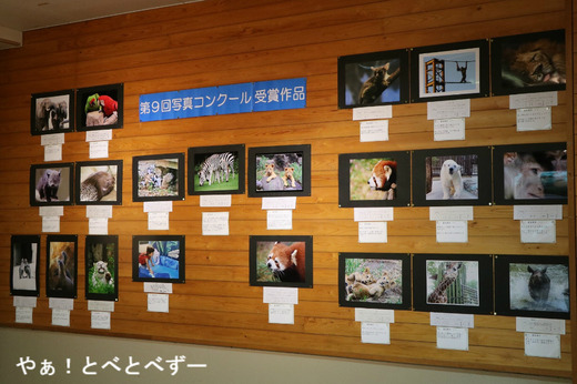 とべ動物園イベント:写真コンクール作品展