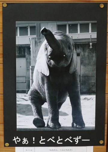 とべ動物園写真コンクール