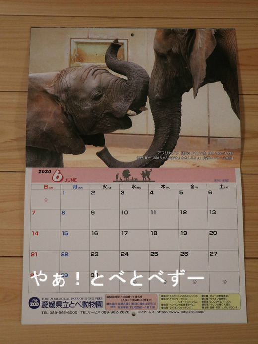 とべ動物園2020年公式カレンダー