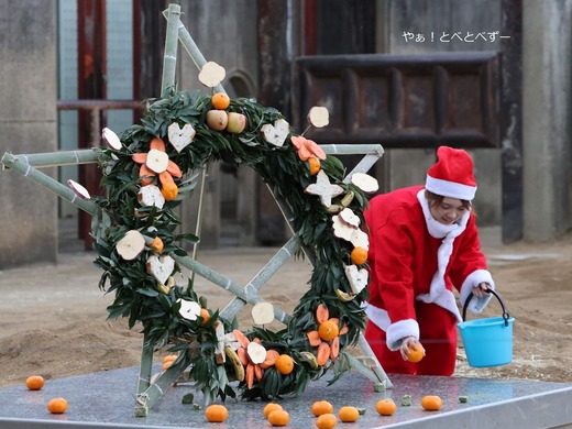 とべ動物園アフリカゾウのブログ：やぁ！とべとべずー