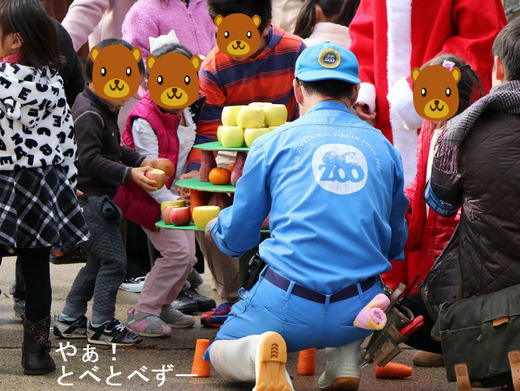 とべ動物園イベント情報：ゾウへの特製クリスマスリースの飾りつけ