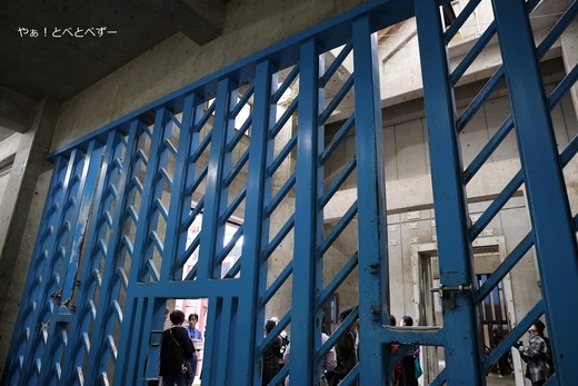 とべ動物園アフリカゾウ舎のバックヤード訪問