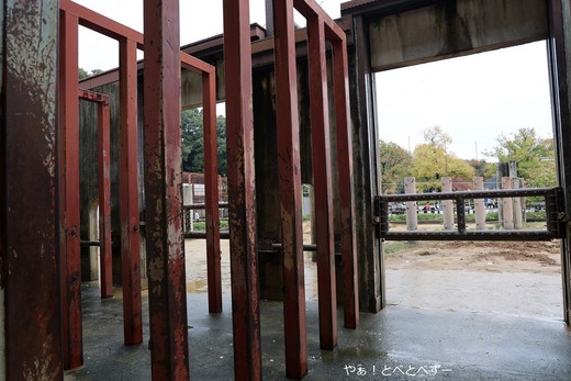 アフリカゾウの媛ちゃんのお誕生会の様子