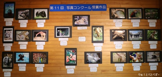 とべ動物園写真コンクール作品展:ふれあいセンター