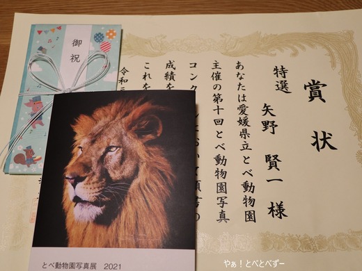とべ動物園アフリカゾウのブログ:やぁ!とべとべずー