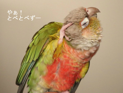 頭がかゆ～いね～：もみじさん
