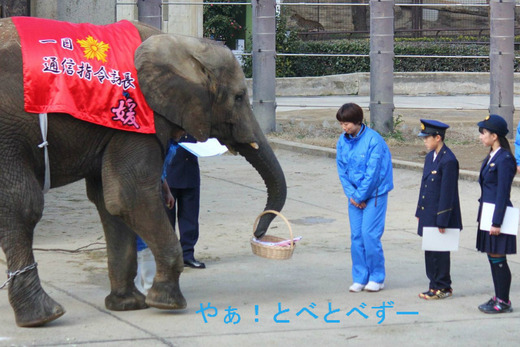 とべ動物園イベント:「一日通信指令課長」委嘱式