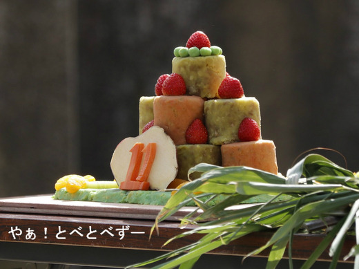 飼育員さんが作った媛ちゃんのお誕生会のケーキ