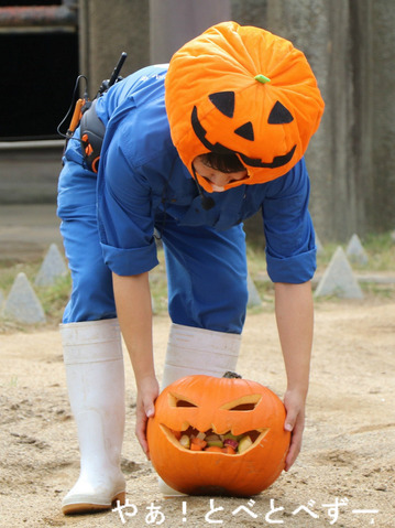 とべ動物園アフリカゾウイベント:ハロウィン