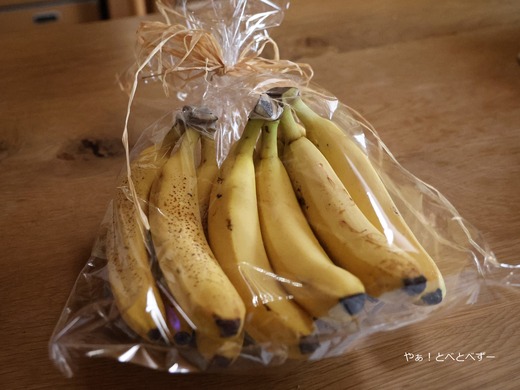 アフリカゾウ砥愛ちゃんの12歳のお誕生会