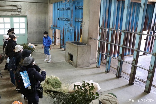とべ動物園動物サポータズデーの様子2024年