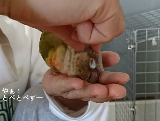 い~子、い~子が大好きな『もみじ』さん