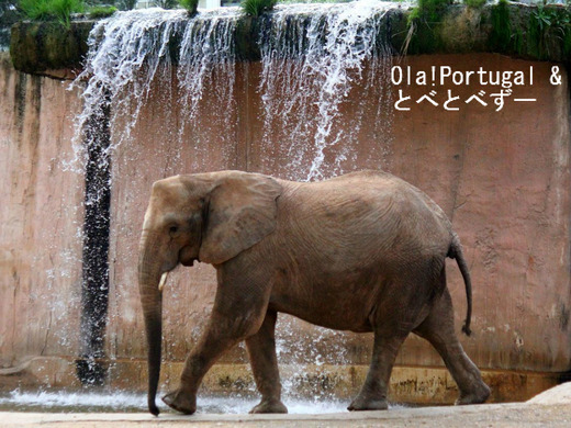 Jardim Zoologico de Lisboa, Portugal