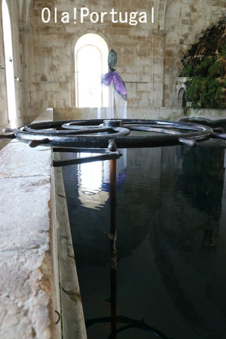 ポルトガル情報満載のブログ：Ola! Portugal