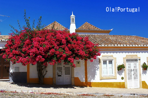 ポルトガル情報&旅行ブログ:Ola! Portugal