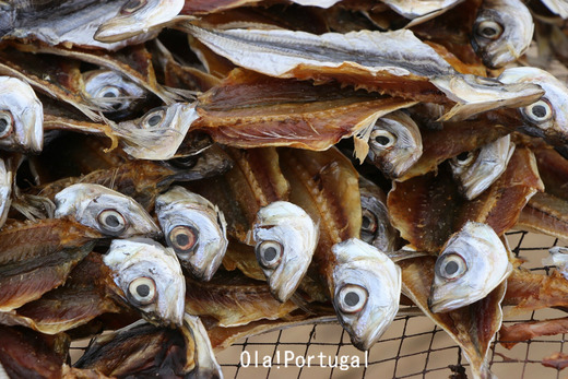 ポルトガルの写真満載のブログ:Ola! Portugal