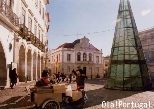 ポルトガルブログ：エヴォラのクリスマスツリーと焼き栗屋