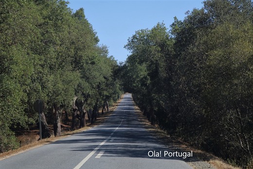 ポルトガル情報&旅行記:Ola!Portugal
