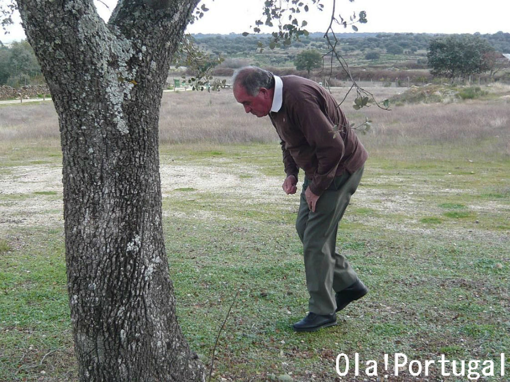 イベリア半島最大のメンヒル ポルトガル巨石遺跡巡りの旅 Ola Portugal 与茂駄 よもだ とれしゅ オラ ポルトガルのブログ イベリア半島最大のメンヒル ポルトガル巨石遺跡巡りの旅 Ola Portugal 与茂駄 よもだ とれしゅ オラ ポルトガルのブログ