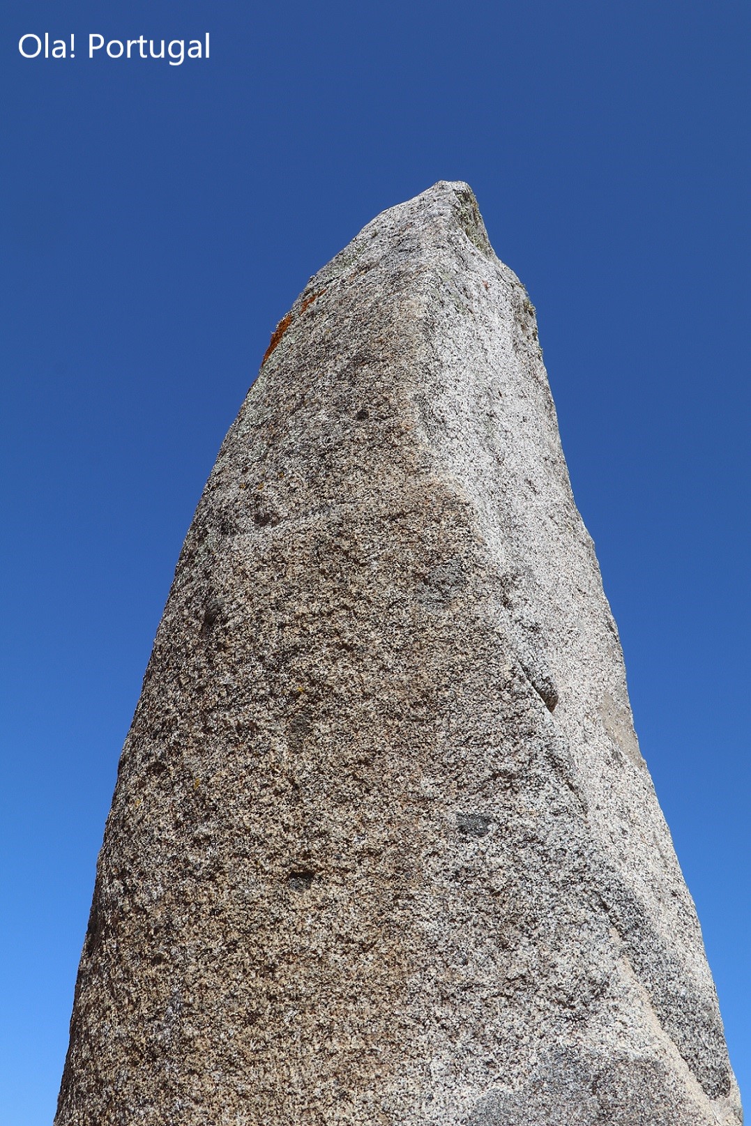 Mur de l'Atlantique - ロワール地方の美しい遺跡 Mur de l'Atlantique - ロワール地方の美しい遺跡 Mur de l