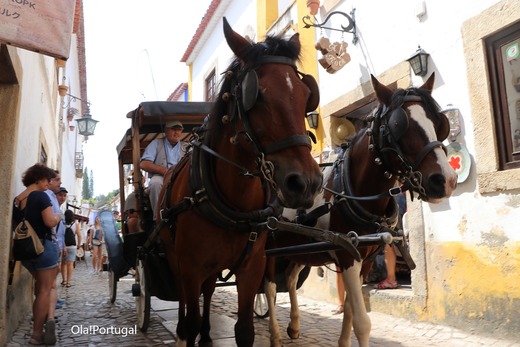 ポルトガルの写真満載のブログ:Ola! Portugal