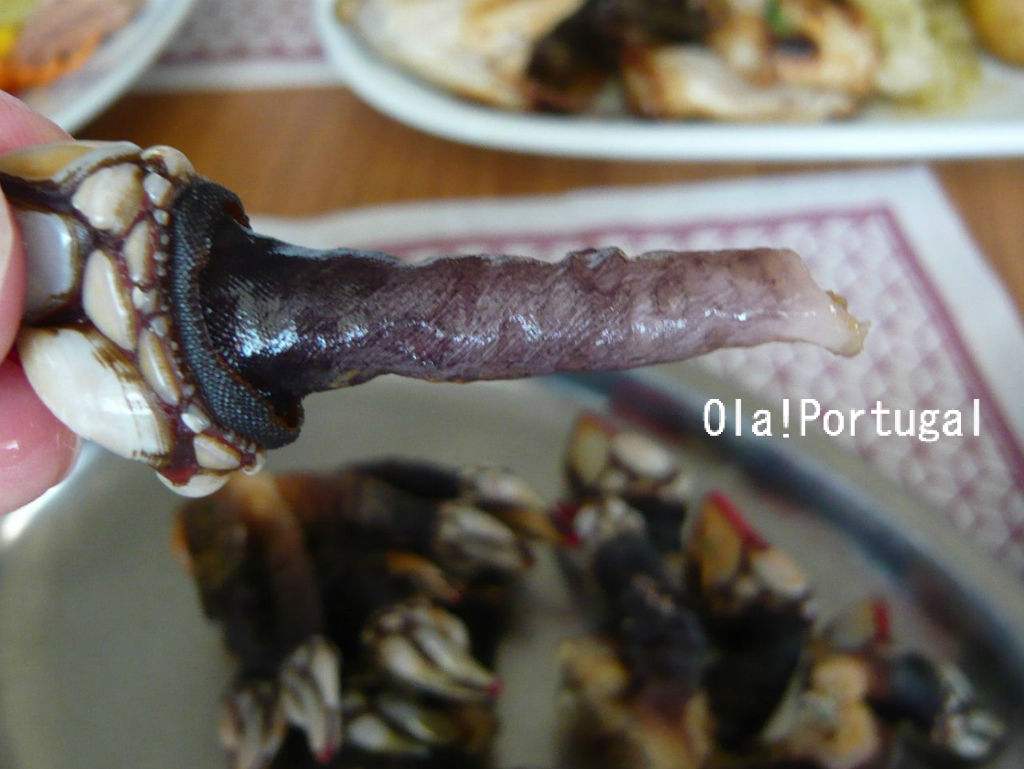 ペルセヴェシュ カメノテ を食べてみた Ola Portugal 与茂駄 よもだ とれしゅ オラ ポルトガルのブログ