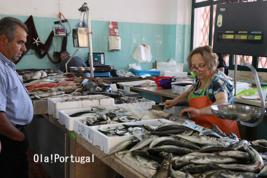 Mercado de Peniche, Peniche, Portugal