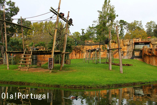 海外の動物園:ポルトガル・リスボン動物園
