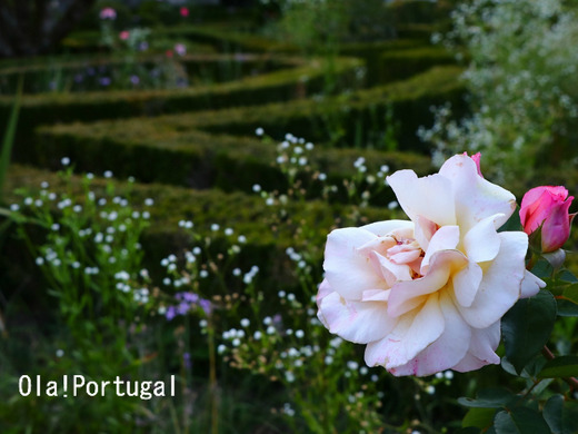 ポルトガル旅行記：Guimaraes ギマランイス