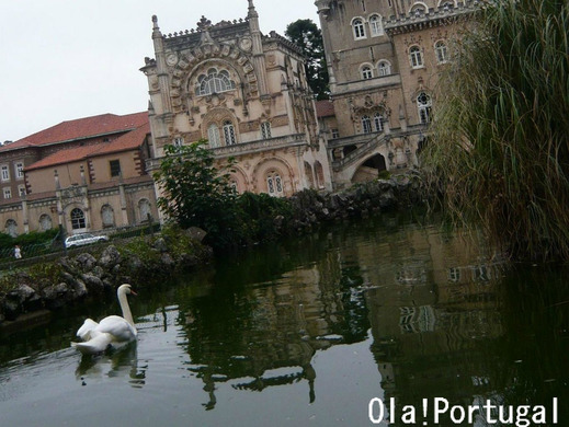 ポルトガル旅行記:ブサコ