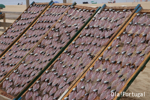 まるで日本?ポルトガルの漁村での干物作り