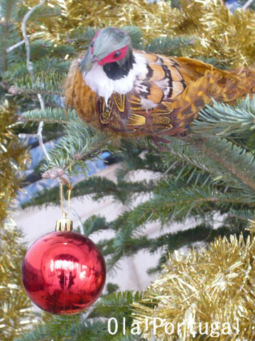 Pousada da Rainha Santa Isabel (Estremoz)