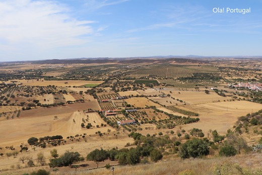 ポルトガルの写真満載のブログ:Ola! Portugal