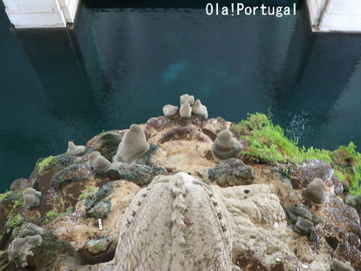 ポルトガル・リスボン旅行記：Ola! Portugal