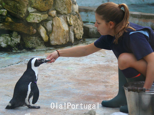 Jardim Zoologico de Lisboa,Portugal