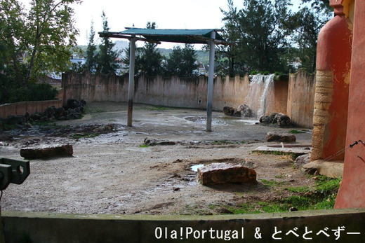 リスボン旅行記:ジャルディン・ズーロジコ(リスボン動物園)