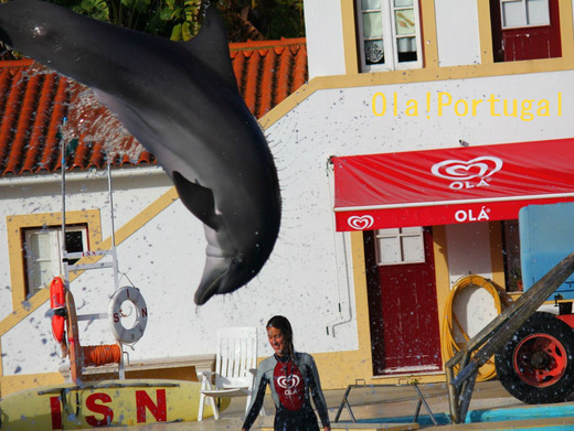 ポルトガルの写真満載のブログ:Ola! Portugal