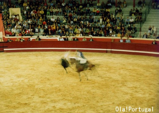 ポルトガルの闘牛：騎馬闘牛士カヴァレイロ