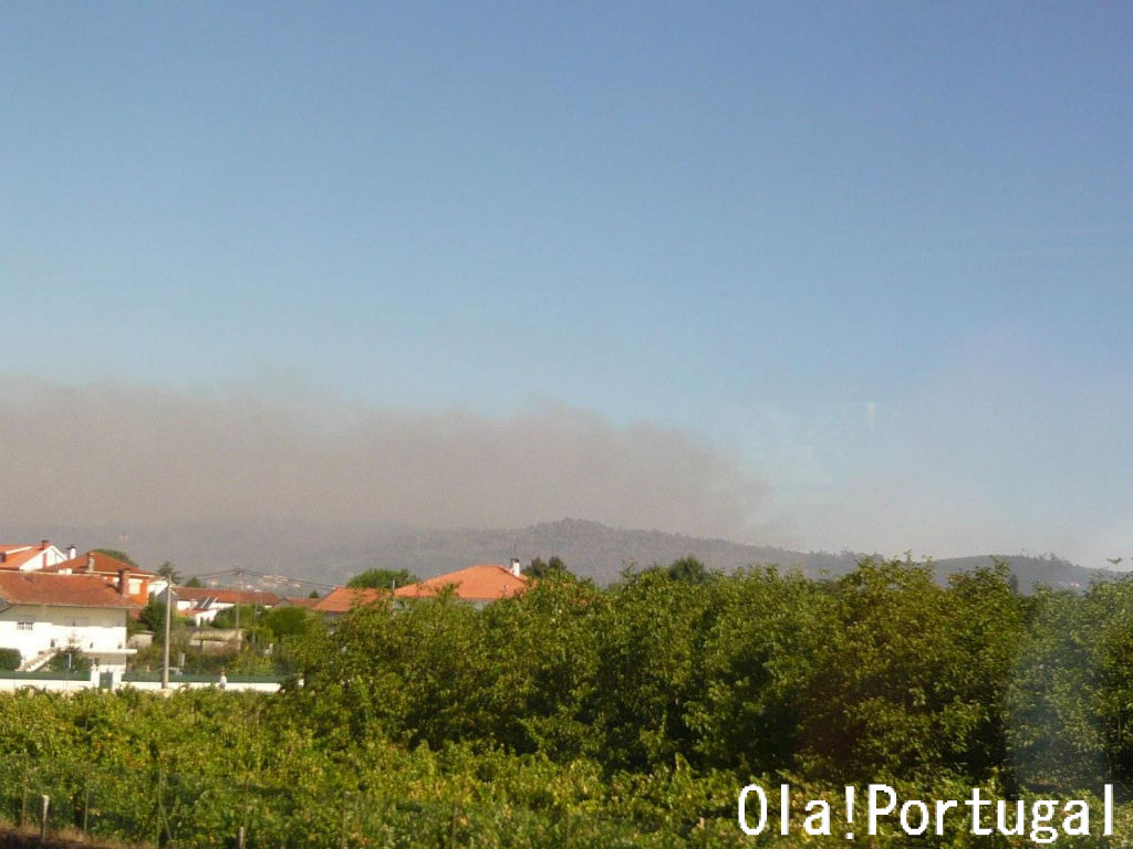 ミーニョ地方の山火事 Ola Portugal 与茂駄 よもだ とれしゅ オラ ポルトガルのブログ